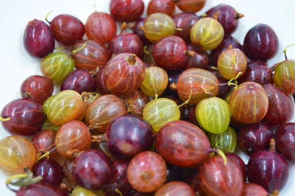 Gooseberry Merah Matang Diposisikan Dan Dilapisi Menjadi Lempeng Tanah Liat — Stok Foto