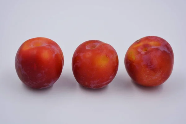 Trzy Dojrzałe Owoce Dużej Wiśniowej Śliwki Deserowej Wczesnej Odmiany Rosnącej — Zdjęcie stockowe