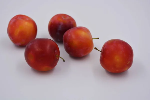 Červená Třešňově Brzká Odrůda Třešňové Švestky Která Roste Roste Území — Stock fotografie