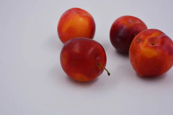 Vermelho Cereja Variedade Precoce Ameixa Cereja Cedo Que Cresce Cresce — Fotografia de Stock