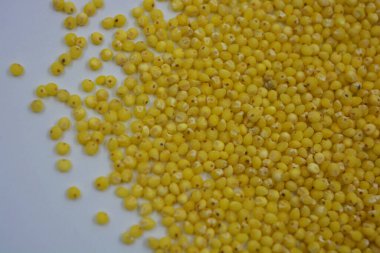 Çok sağlıklı ve kullanışlı homurtular, beyaz bir arka plana saçılmış sarı darılar. Bu mısır gevreğindeki yulaf lapası vücuttaki toksinleri temizler..