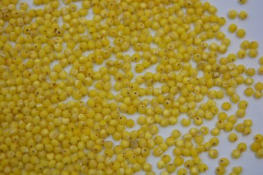 Çok sağlıklı ve kullanışlı homurtular, beyaz bir arka plana saçılmış sarı darılar. Bu mısır gevreğindeki yulaf lapası vücuttaki toksinleri temizler..