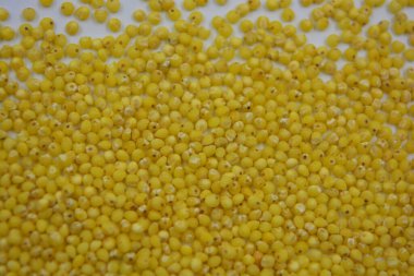 Çok sağlıklı ve kullanışlı homurtular, beyaz bir arka plana saçılmış sarı darılar. Bu mısır gevreğindeki yulaf lapası vücuttaki toksinleri temizler..