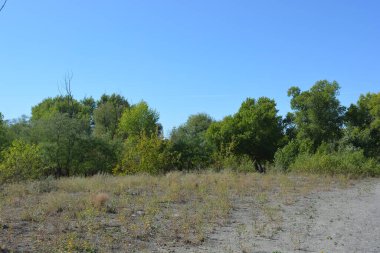 Güzel, parlak, unutulmaz bir doğa. Küçük yaprak döken, diken. Kuru otlar, yabani çiçekler, patikalar, tozlu yollar, yeşil çalılar, yeşil yapraklı genç ve yaşlı ağaçlar, akasya, kavak ağaçları, ıhlamur, deniz dikenleri.