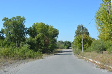 Yazın kırsal yol. Köy yolu olan bir manzara. Ormandaki yol. Ağaçlarla ve mavi gökyüzüyle yaz manzarası. Bozkırda söğüt ağaçları. Bozkırda ilkbahar.