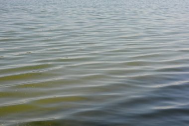 Güzel, sakin doğa. Ukrayna 'da Samara nehrinin yüzeyine küçük dalgalar yayıldı..