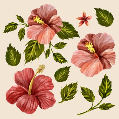 Trendy Yaz tropikal hikaye yapraklar ve çiçekler. İzole sanat nesnesi. Uygun ve herhangi bir yazdırma medyasına.