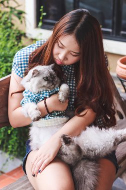 Onun Farsça kedi, huma ile oynayan genç Asyalı kadın yakın çekim