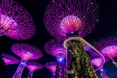 Singapur - 15 Eylül 2017 : Supertree Grove'un Gard'daki gece görünümü