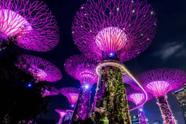 Singapur - 15 Eylül 2017 : Supertree Grove'un Gard'daki gece görünümü