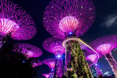 Singapur - 15 Eylül 2017 : Supertree Grove'un Gard'daki gece görünümü