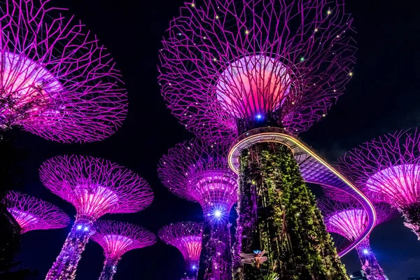 SINGAPORE - SEP 15, 2017: Vista noturna de Supertree Grove no Gard — Fotografia de Stock