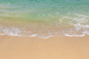 Yumuşak okyanus dalgasına yakın kumsalda, arka planda.