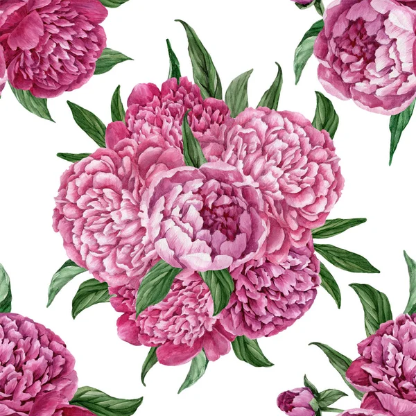 Zarif ve nazik sorunsuz çiçek desenli çiçek açan peonies beyaz zemin üzerine suluboya el boyaması tasarım izole ile.
