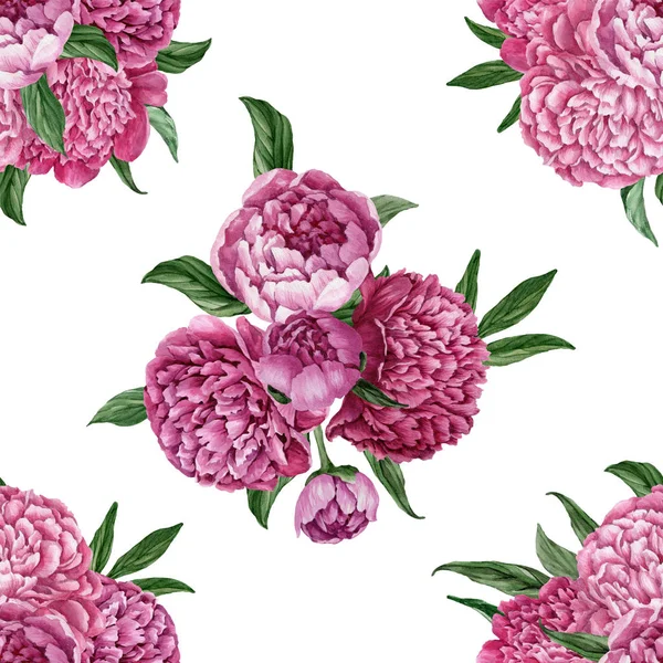 Zarif ve nazik sorunsuz çiçek desenli çiçek açan peonies beyaz zemin üzerine suluboya el boyaması tasarım izole ile.