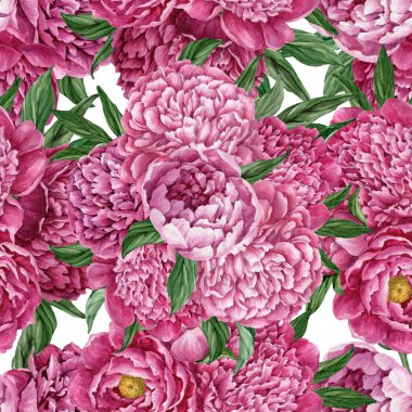 Zarif ve nazik sorunsuz çiçek desenli çiçek açan peonies beyaz zemin üzerine suluboya el boyaması tasarım izole ile.