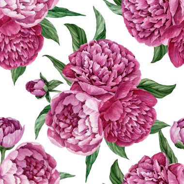 Zarif ve nazik sorunsuz çiçek desenli çiçek açan peonies beyaz zemin üzerine suluboya el boyaması tasarım izole ile.