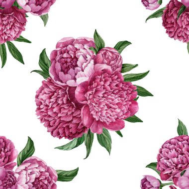 Zarif ve nazik sorunsuz çiçek desenli çiçek açan peonies beyaz zemin üzerine suluboya el boyaması tasarım izole ile.