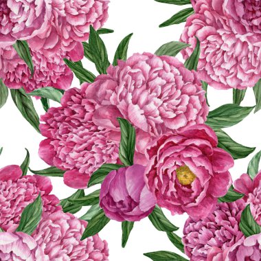 Zarif ve nazik sorunsuz çiçek desenli çiçek açan peonies beyaz zemin üzerine suluboya el boyaması tasarım izole ile.