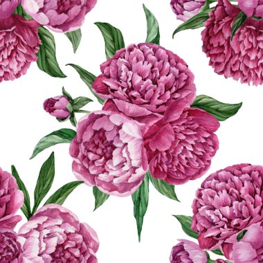 Zarif ve nazik sorunsuz çiçek desenli çiçek açan peonies beyaz zemin üzerine suluboya el boyaması tasarım izole ile.