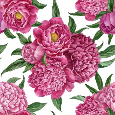Zarif ve nazik sorunsuz çiçek desenli çiçek açan peonies beyaz zemin üzerine suluboya el boyaması tasarım izole ile.