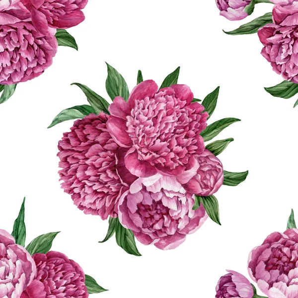 Zarif ve nazik sorunsuz çiçek desenli çiçek açan peonies beyaz zemin üzerine suluboya el boyaması tasarım izole ile.