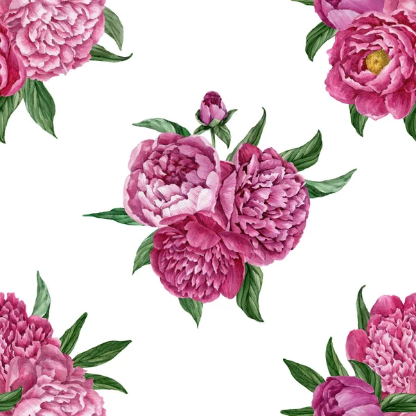 Zarif ve nazik sorunsuz çiçek desenli çiçek açan peonies beyaz zemin üzerine suluboya el boyaması tasarım izole ile.