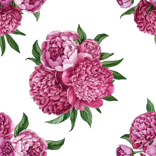 Zarif ve nazik sorunsuz çiçek desenli çiçek açan peonies beyaz zemin üzerine suluboya el boyaması tasarım izole ile.