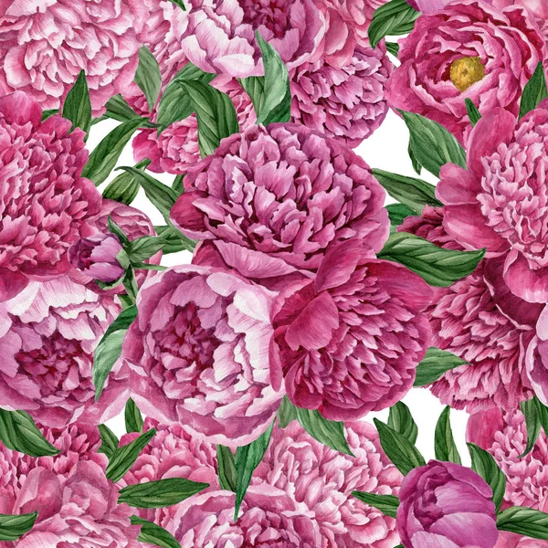 Zarif ve nazik sorunsuz çiçek desenli çiçek açan peonies beyaz zemin üzerine suluboya el boyaması tasarım izole ile.
