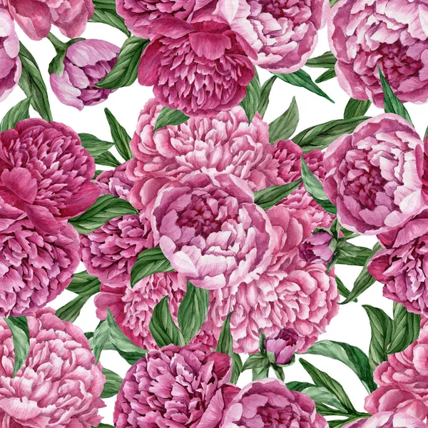 Zarif ve nazik sorunsuz çiçek desenli çiçek açan peonies beyaz zemin üzerine suluboya el boyaması tasarım izole ile.
