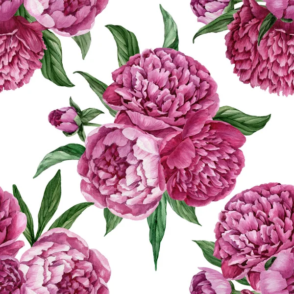 Zarif ve nazik sorunsuz çiçek desenli çiçek açan peonies beyaz zemin üzerine suluboya el boyaması tasarım izole ile.