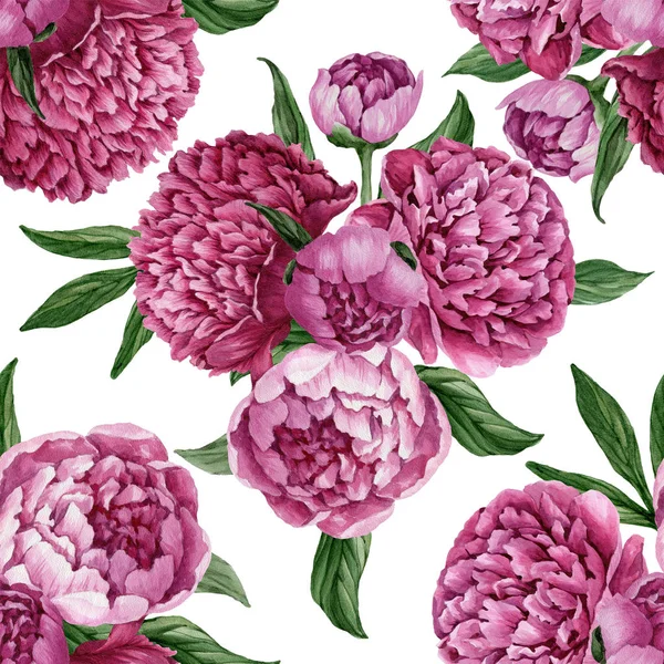 Zarif ve nazik sorunsuz çiçek desenli çiçek açan peonies beyaz zemin üzerine suluboya el boyaması tasarım izole ile.