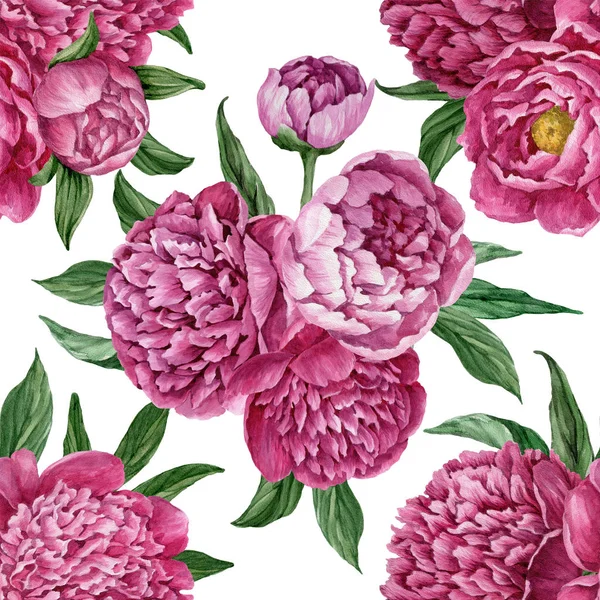 Zarif ve nazik sorunsuz çiçek desenli çiçek açan peonies beyaz zemin üzerine suluboya el boyaması tasarım izole ile.
