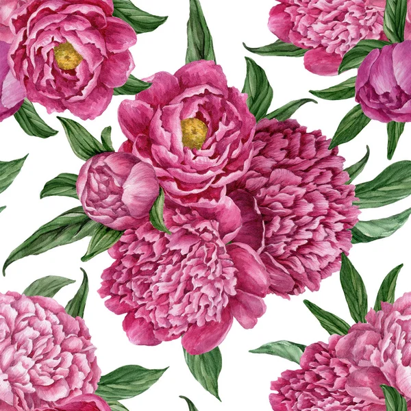 Zarif ve nazik sorunsuz çiçek desenli çiçek açan peonies beyaz zemin üzerine suluboya el boyaması tasarım izole ile.