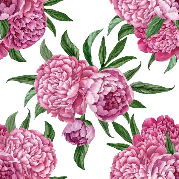 Zarif ve nazik sorunsuz çiçek desenli çiçek açan peonies beyaz zemin üzerine suluboya el boyaması tasarım izole ile.