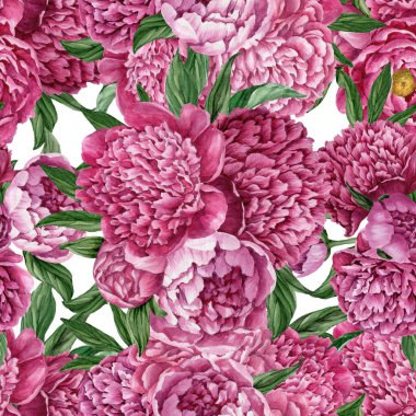 Zarif ve nazik sorunsuz çiçek desenli çiçek açan peonies beyaz zemin üzerine suluboya el boyaması tasarım izole ile.