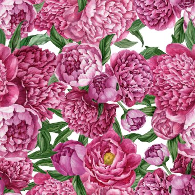 Zarif ve nazik sorunsuz çiçek desenli çiçek açan peonies beyaz zemin üzerine suluboya el boyaması tasarım izole ile.