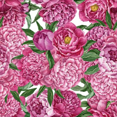 Zarif ve nazik sorunsuz çiçek desenli çiçek açan peonies beyaz zemin üzerine suluboya el boyaması tasarım izole ile.
