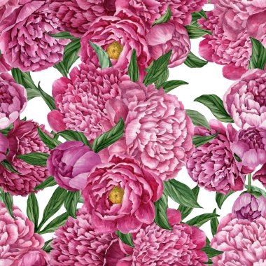 Zarif ve nazik sorunsuz çiçek desenli çiçek açan peonies beyaz zemin üzerine suluboya el boyaması tasarım izole ile.