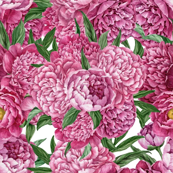 Zarif ve nazik sorunsuz çiçek desenli çiçek açan peonies beyaz zemin üzerine suluboya el boyaması tasarım izole ile.