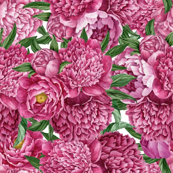 Patrón Floral Exquisito Suave Sin Costuras Con Peonías Flor Aisladas —  Fotos de Stock