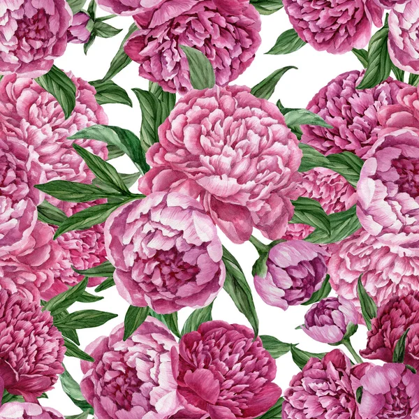 Patrón Floral Exquisito Suave Sin Costuras Con Peonías Flor Aisladas —  Fotos de Stock