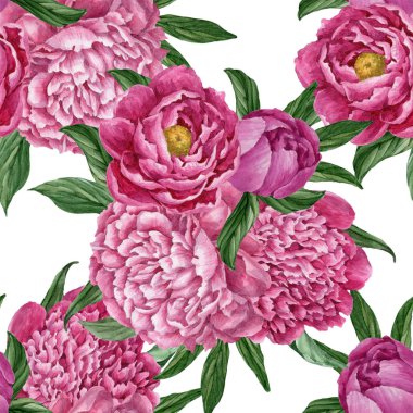 Zarif ve nazik sorunsuz çiçek desenli çiçek açan peonies beyaz zemin üzerine suluboya el boyaması tasarım izole ile.