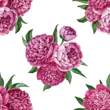Zarif ve nazik sorunsuz çiçek desenli çiçek açan peonies beyaz zemin üzerine suluboya el boyaması tasarım izole ile.