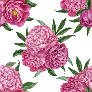 Zarif ve nazik sorunsuz çiçek desenli çiçek açan peonies beyaz zemin üzerine suluboya el boyaması tasarım izole ile.