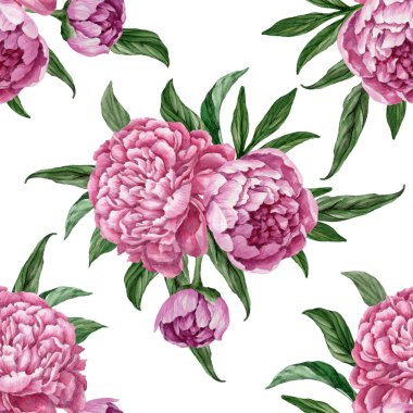 Zarif ve nazik sorunsuz çiçek desenli çiçek açan peonies beyaz zemin üzerine suluboya el boyaması tasarım izole ile.