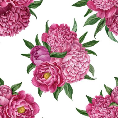 Zarif ve nazik sorunsuz çiçek desenli çiçek açan peonies beyaz zemin üzerine suluboya el boyaması tasarım izole ile.