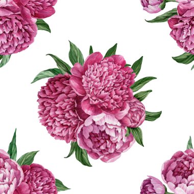 Zarif ve nazik sorunsuz çiçek desenli çiçek açan peonies beyaz zemin üzerine suluboya el boyaması tasarım izole ile.