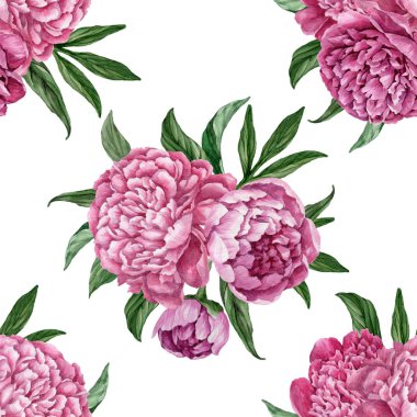Zarif ve nazik sorunsuz çiçek desenli çiçek açan peonies beyaz zemin üzerine suluboya el boyaması tasarım izole ile.