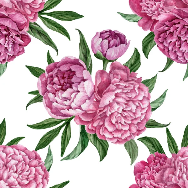 Zarif ve nazik sorunsuz çiçek desenli çiçek açan peonies beyaz zemin üzerine suluboya el boyaması tasarım izole ile.